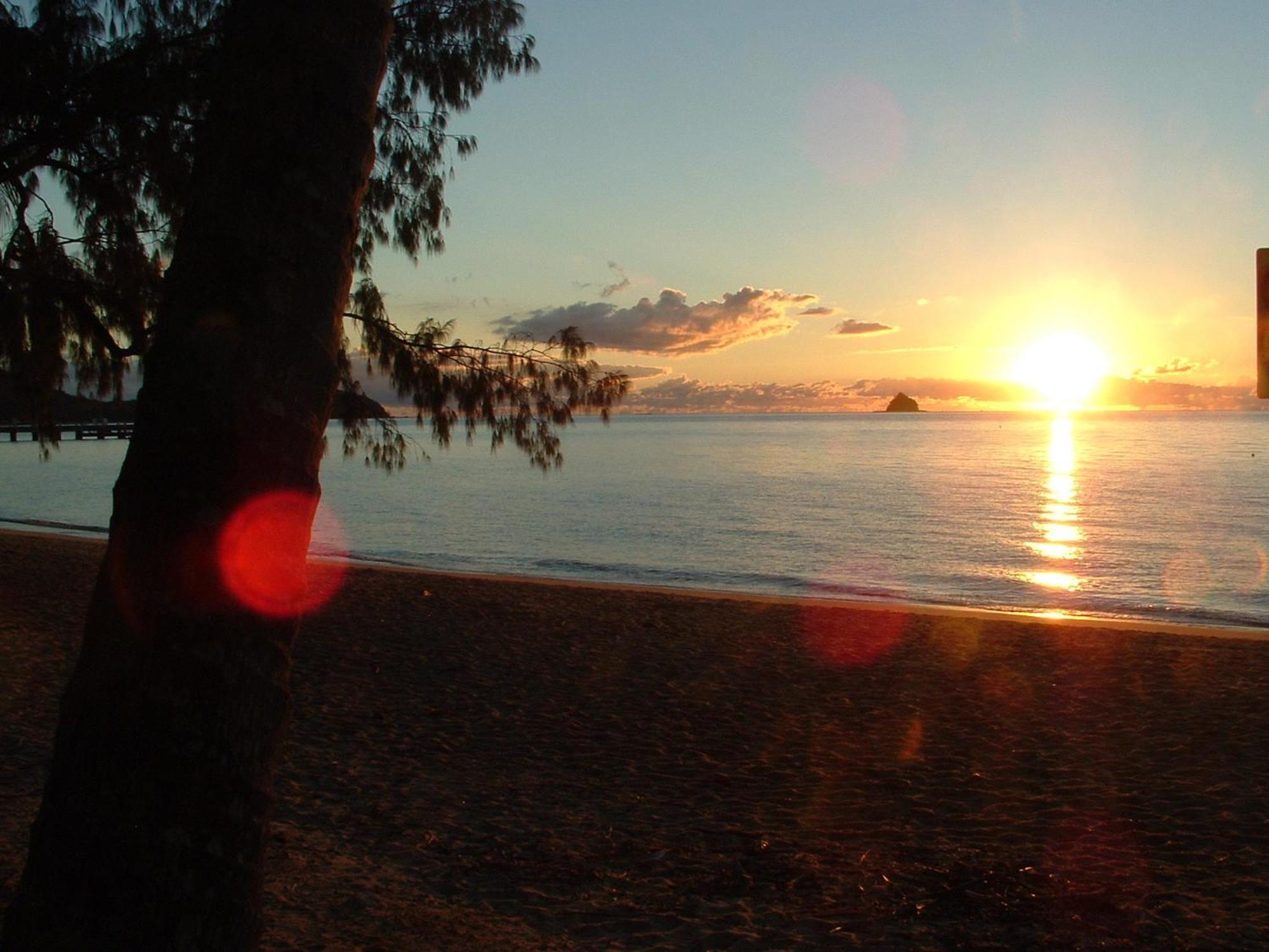 Marlin Waters Beachfront Apartments Palm Cove Exteriér fotografie