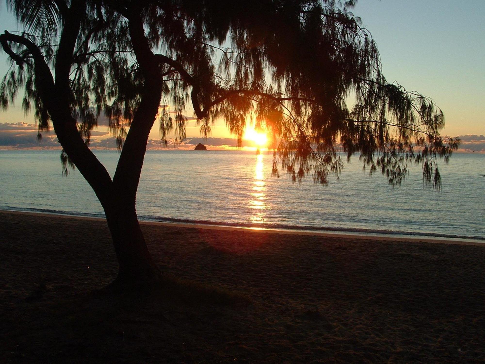 Marlin Waters Beachfront Apartments Palm Cove Exteriér fotografie