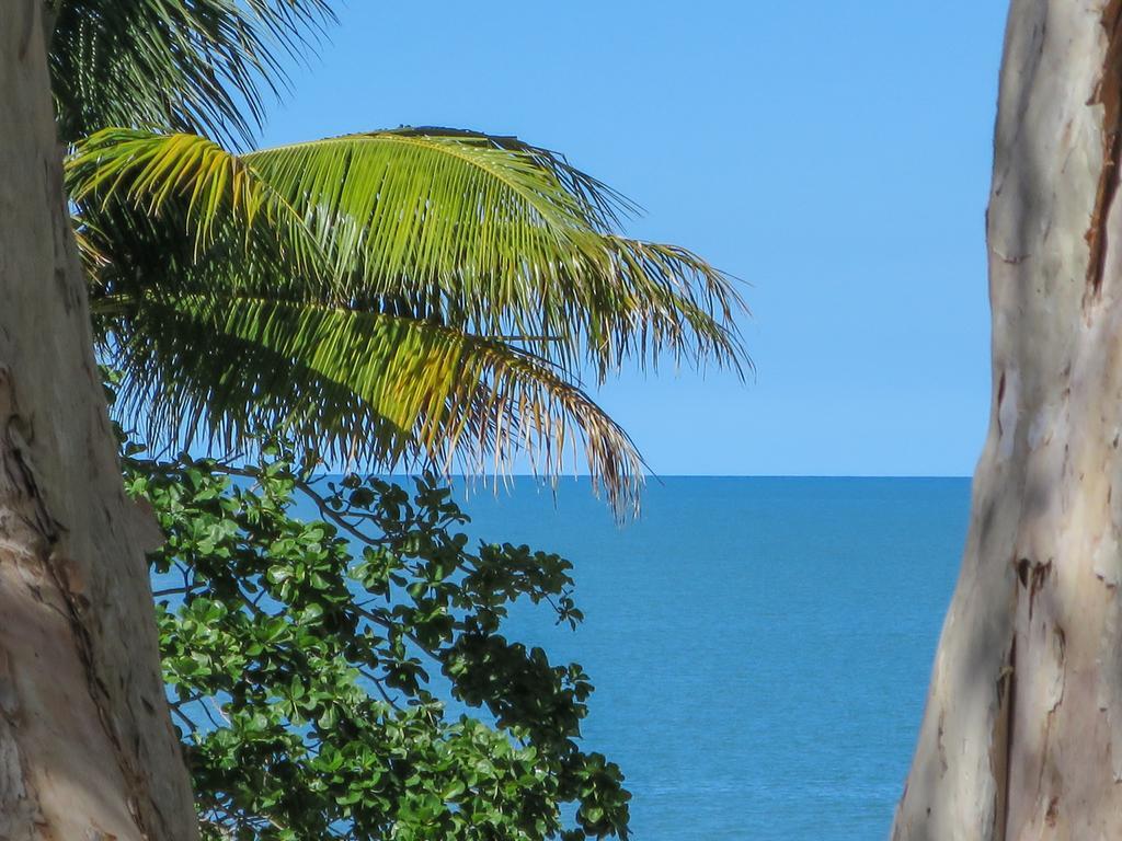Marlin Waters Beachfront Apartments Palm Cove Exteriér fotografie