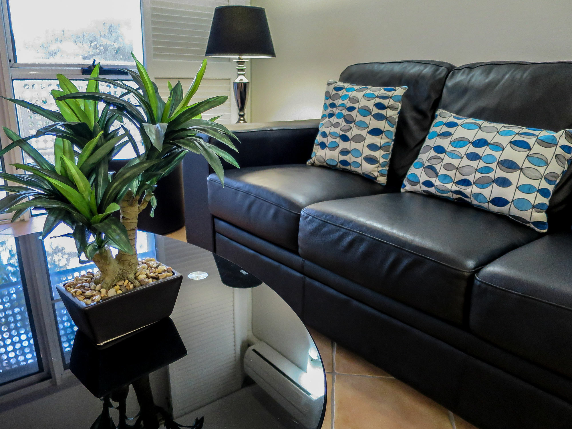 Marlin Waters Beachfront Apartments Palm Cove Exteriér fotografie