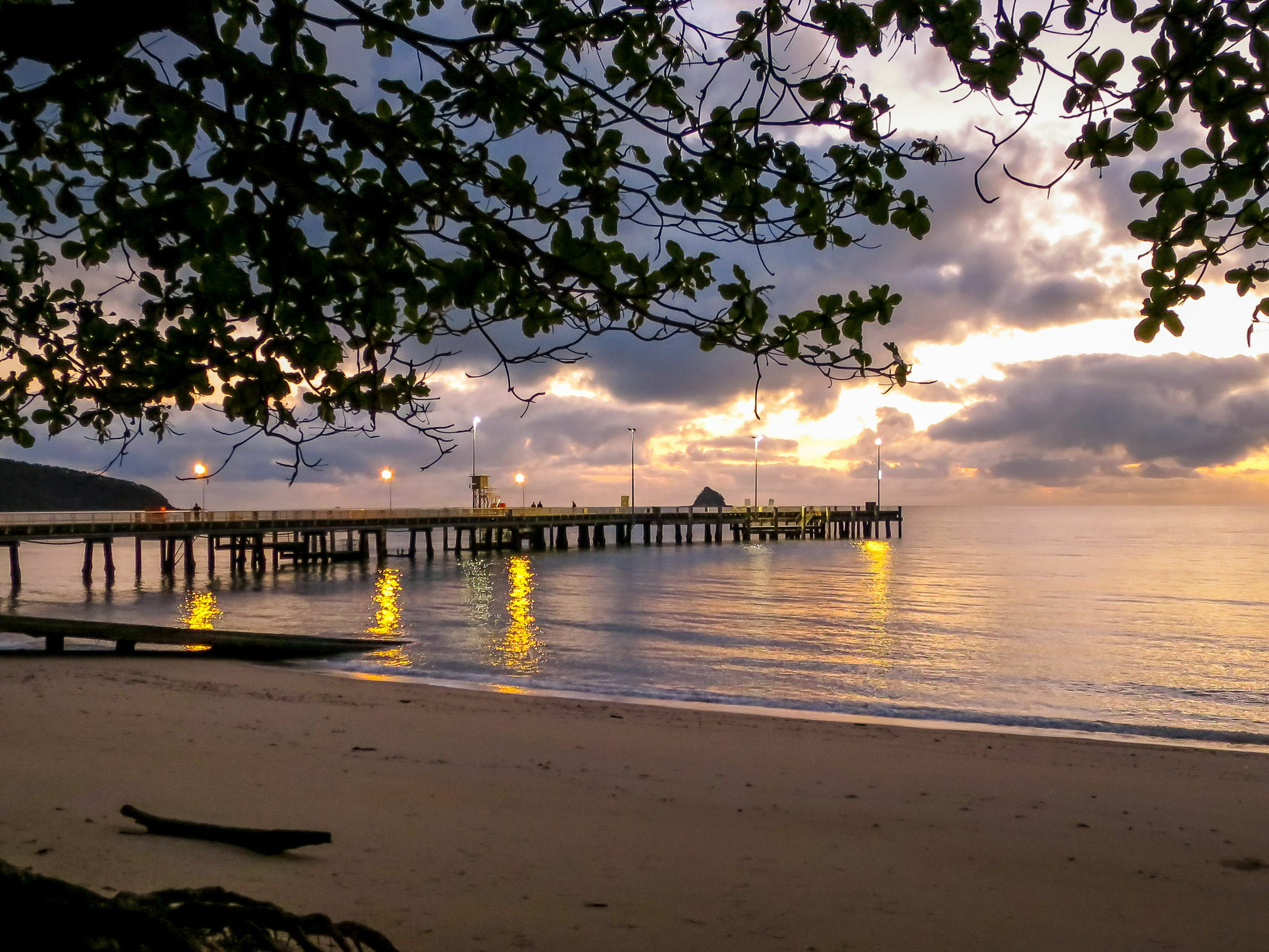 Marlin Waters Beachfront Apartments Palm Cove Exteriér fotografie