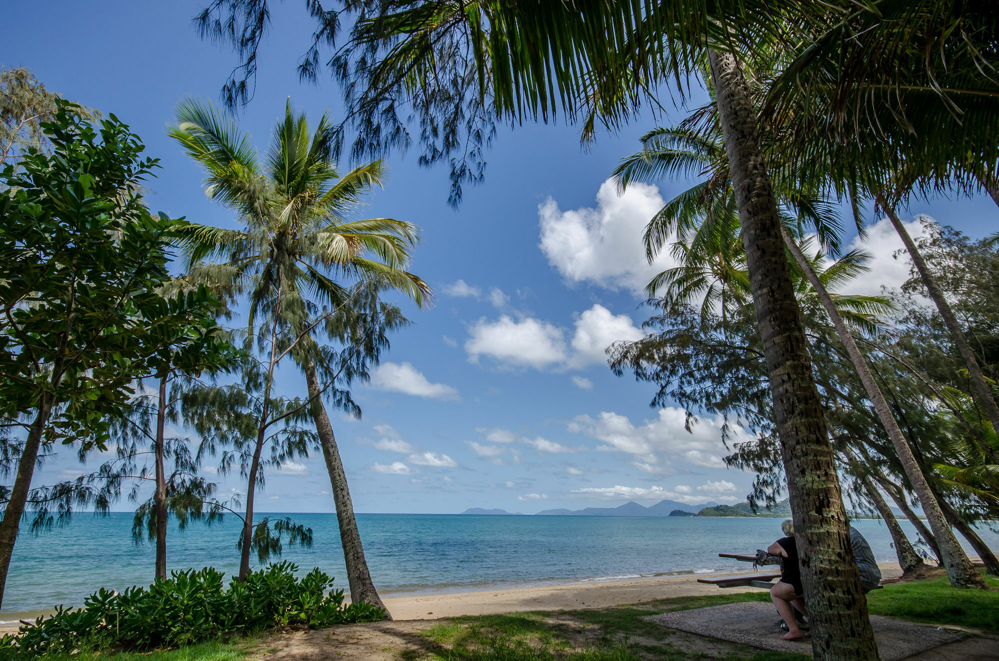 Marlin Waters Beachfront Apartments Palm Cove Exteriér fotografie